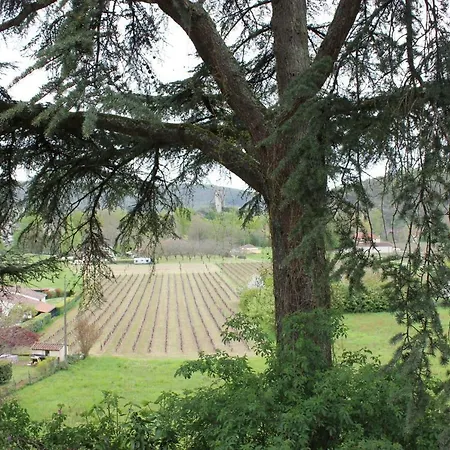 Pensión Castel Rouge 4*