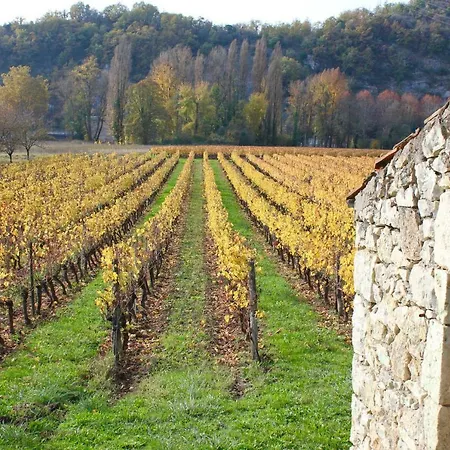 Castel Rouge Pensión Luzech