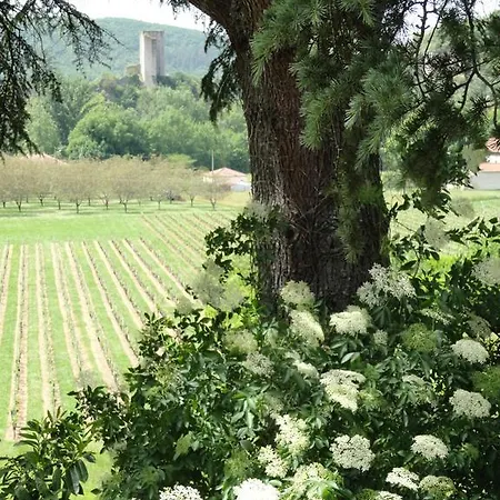 Castel Rouge בית הארחה Luzech
